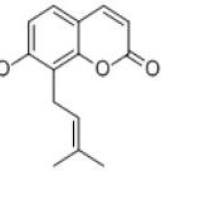 蛇床子素484-12-8厂家