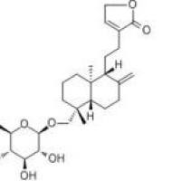 新穿心莲内酯27215-14-1价格