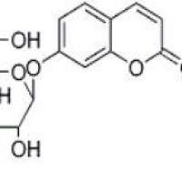 茵芋苷93-39-0包装