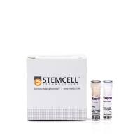 EasySep™人定制富集试剂盒