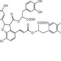 9’-丹酚酸B-单甲酯1167424-31-8厂家