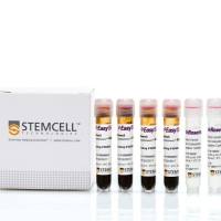 EasySep™ Direct人Pan粒细胞分选试剂盒