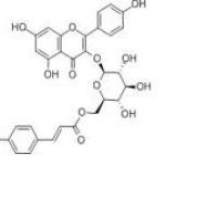 银椴苷20316-62-5包装