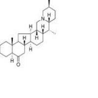 梭砂贝母酮碱厂家