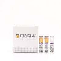 EasySep™人祖细胞富集试剂盒II