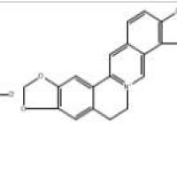硫酸黄连碱1198398-71-8厂家