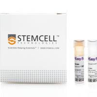 EasySep™人嗜酸性粒细胞分选试剂盒