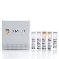 EasySep™人Pan-树突状细胞预富集试剂盒