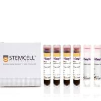 EasySep™Direct人嗜碱性粒细胞分选试剂盒