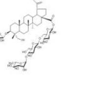 白头翁皂苷B135247-95-9包装