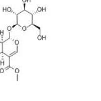 山茱萸苷548-37-8价格
