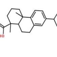 (+)-脱氢枞酸1231-75-0价格