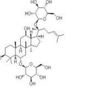 人参皂苷Rg122427-39-0厂家