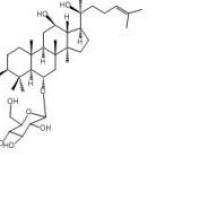 (R型)人参皂苷Rh180952-71-2价格