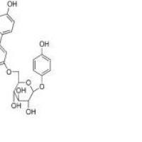 乌金苷136172-60-6包装