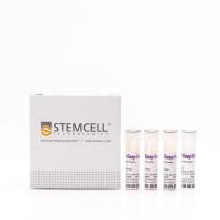 EasySep™人CD8+T细胞富集试剂盒