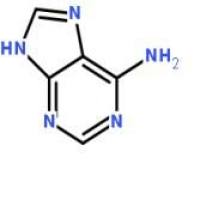 腺嘌呤73-24-5折扣