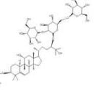 赛门苷I126105-12-2包装