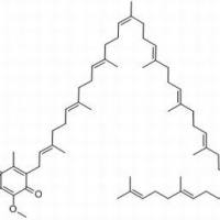 303-98-0/ 辅酶Q10 , BR,99%