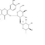 异鼠李素-3-O-新橙皮苷55033-90-4厂家