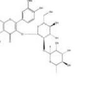 异鼠李素-3-O-新橙皮苷55033-90-4厂家