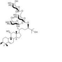 罗汉果皂苷ⅢA188901-42-2厂家