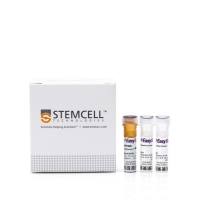 EasySep™人Naive B细胞分选试剂盒