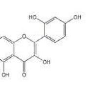 桑色素480-16-0折扣
