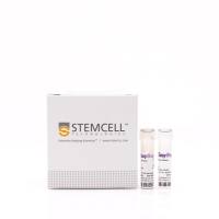 EasySep™人T细胞富集试剂盒