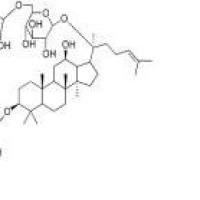 三七皂苷Fe88105-29-7包装