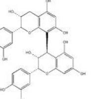 原花青素B229106-49-8包装