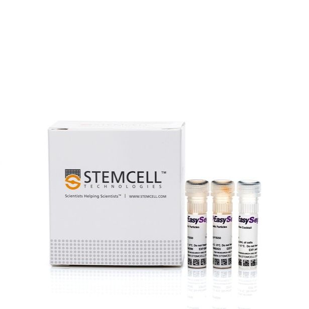 EasySep™人Pan-B细胞富集试剂盒