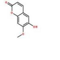 异莨菪亭776-86-3厂家