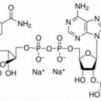 2646-71-1/	 还原辅酶Ⅱ四钠盐,BR，98%