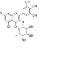 杨梅苷17912-87-7价格