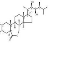芸苔素内酯、油菜素内酯72962-43-7厂家