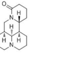 苦参碱519-02-8厂家