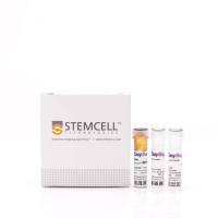 EasySep™人Naïve CD4+ T细胞分选试剂盒