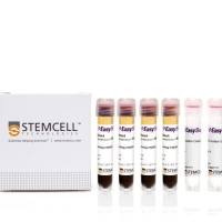 EasySep™ Direct人嗜酸性粒细胞分选试剂盒