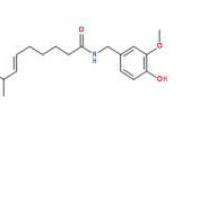 天然辣椒碱404-86-4厂家