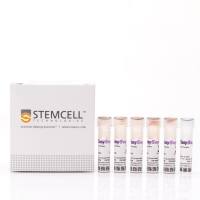 EasySep™人Naïve B细胞富集试剂盒