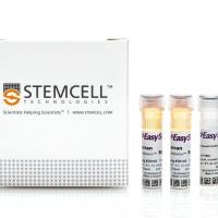 EasySep™人嗜碱性粒细胞分选试剂盒