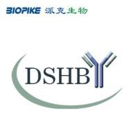 DSHB产品
