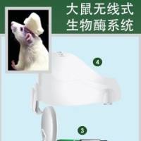 鼠脑部葡萄糖测量系统，颅内葡萄糖测量仪