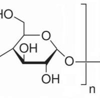 9037-22-3.	 支链淀粉 ,	BR，玉米来源