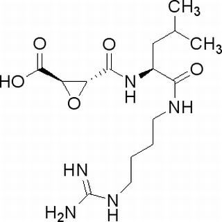 66701-25-5/N-(反式-环氧丁二酰基)-L-亮氨酸-4-胍基丁基酰胺,超纯，98%