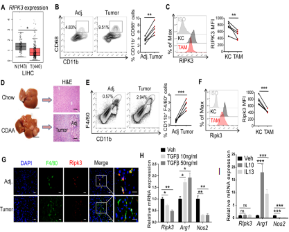 威斯腾生物联合中国抗癌协会肿瘤代谢专委会网络学术沙龙系列讲座第六讲