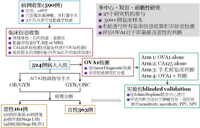 image7.jpeg