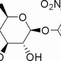 2816-24-/2 邻基苯-β-D-吡喃葡萄糖苷 .生物技术级,98%