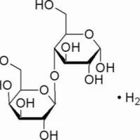 5989-81-1/	 乳糖 ,	AR，99%